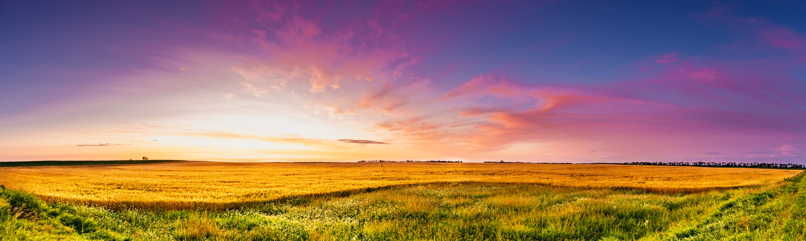 Panoramic sunrise