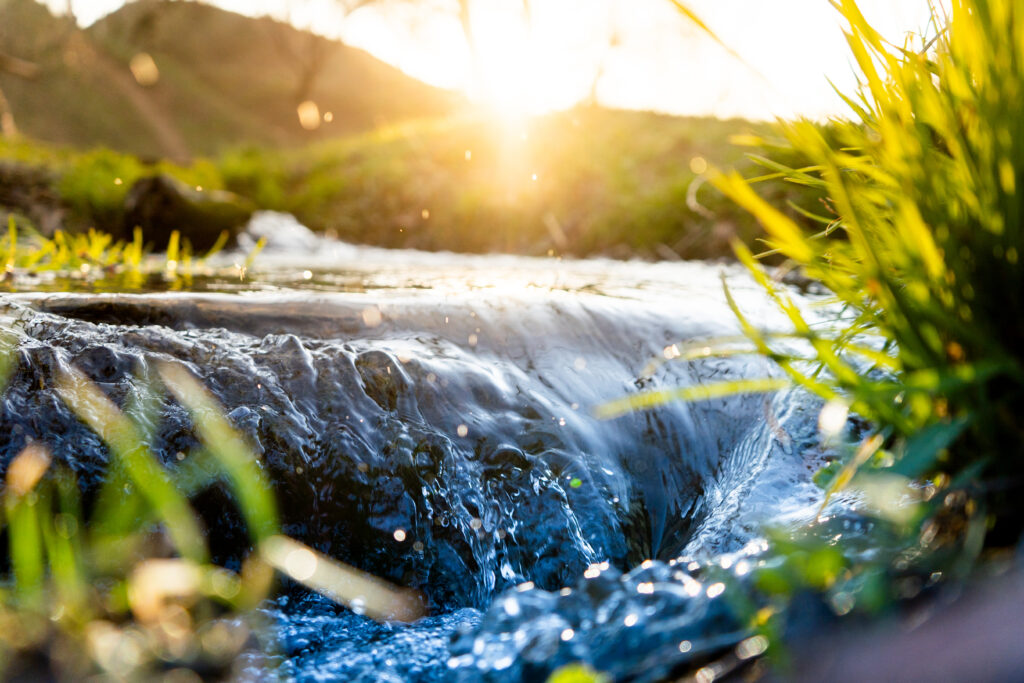 Spring stream